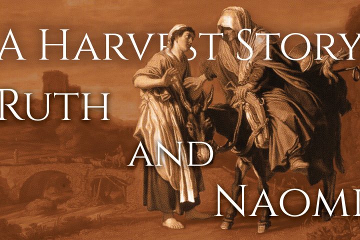 A Harvest Story: Ruth and Naomi